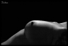 BodyScape